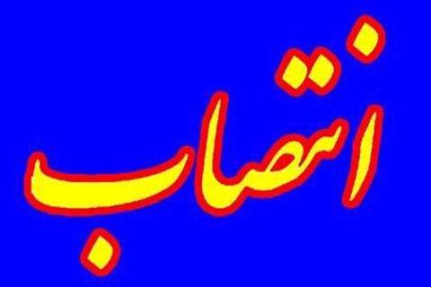 سرپرست دانشگاه سلمان فارسی کازرون منصوب شد سرپرست دانشگاه سلمان فارسی کازرون منصوب شد