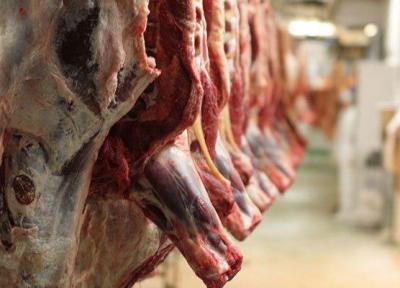 افزایش قیمت گوشت و مرغ در کم کاری ناظران