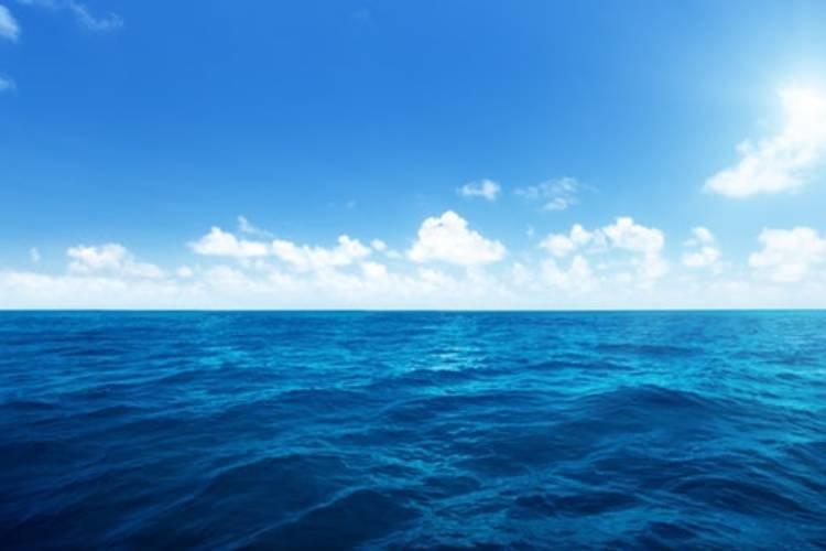 باروری اقیانوس ها می تواند گرمایش زمین را کاهش دهد؟