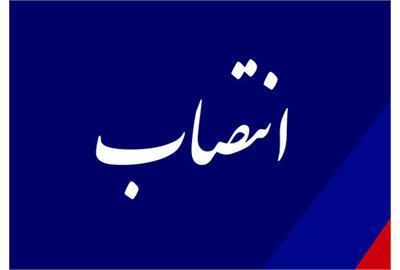 مدیر کل توسعه منابع انسانی وزارت کار منصوب شد مدیر کل توسعه منابع انسانی وزارت کار منصوب شد