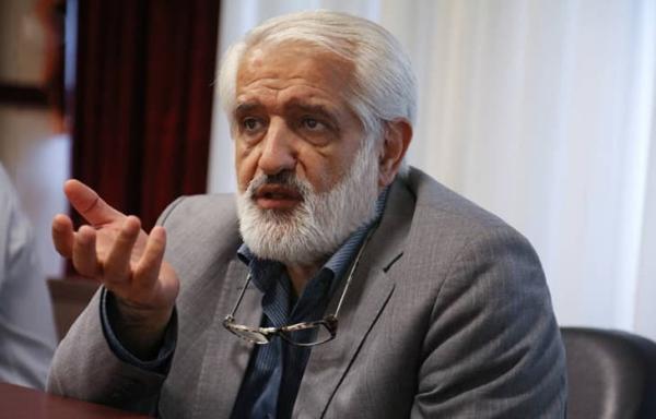 سروری: شهرداری درباره سقوط درخت گزارش دهد سروری: شهرداری درباره سقوط درخت گزارش دهد