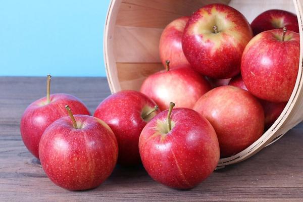اگر زیاد سیب بخوریم چه اتفاقی در بدنمان می افتد؟