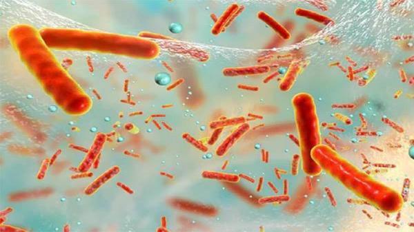 شناسایی اولین سم از بین برنده باکتری ها با هدف فراوری آنتی بیوتیک های نو
